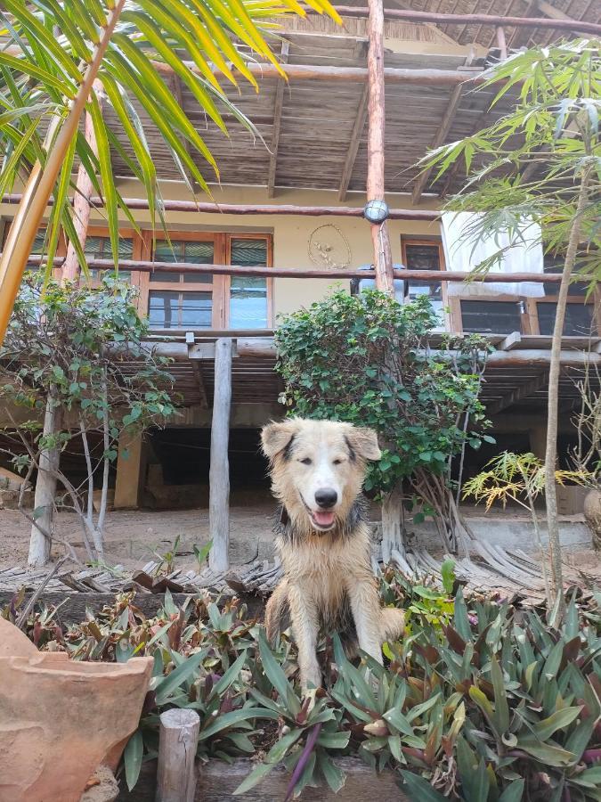 Casa Surf Lodge - Tofo Экстерьер фото